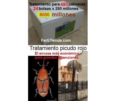 picudo rojo steinernema tratamiento
