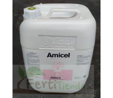 amicel radicular