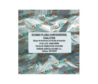 ECONEX PLUSIA (CHRYSODEIXIS) CHALCITES (40 días)