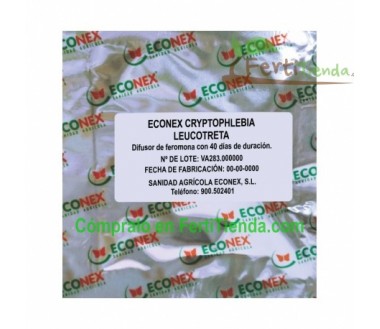 ECONEX CRYPTOPHLEBIA LEUCOTRETA (40 días)