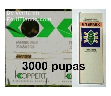 Enermix 3000 Encarsia y eretmocerus