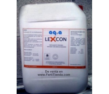 Lexcon , 10L