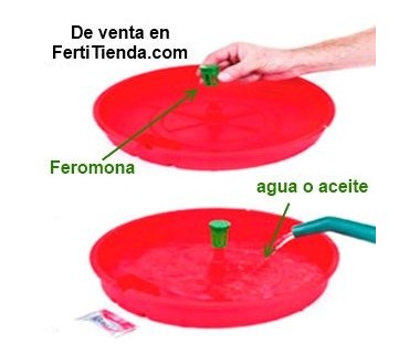 Tutasan, trampa de agua
