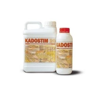 Kadostim, 5L