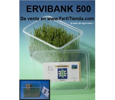 Ervibank 500 - Sitobion avenae