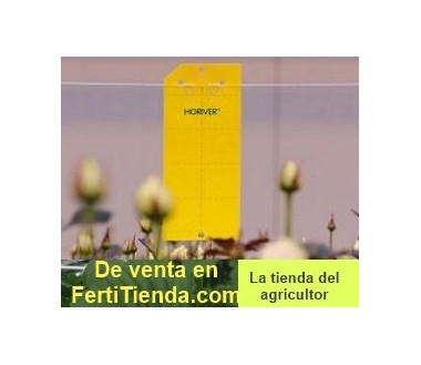 Horiver-TR 10x25 amarillo