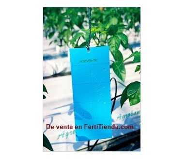 Horiver-TR 10x25 azul