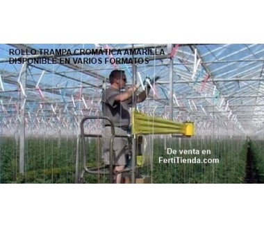 15x100 trampa cromatica adhesiva