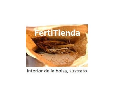 Mariquitas contra pulgones