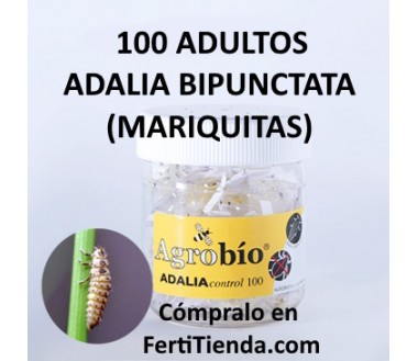 Adaliacontrol 100 adultos mariquita bipunctata (pulgón) - Agrobío