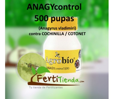 ANAGYcontrol 500 pupas (Anagyrus vladimiri contra cochinilla)