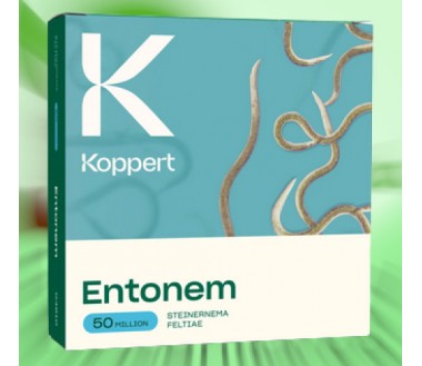 Entonem 50 nematodos Steinernema feltiae