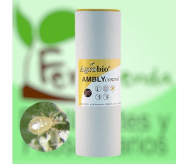 AMBLYcontrol 100.000 – Ácaros Neoseiulus cucumeris para control ecológico de trips