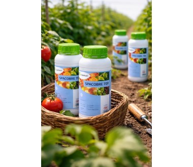 Spacobre 700 – Oxicloruro de Cobre 70% Fungicida 1L