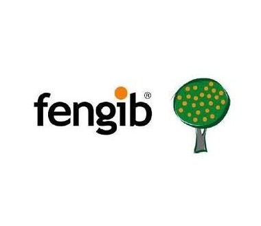 Fengib, 1L
