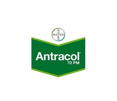 Antracol 70mp , 1Kg