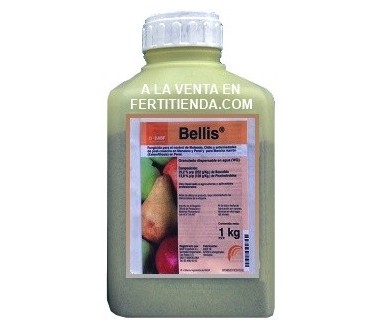Bellis (fungicida manzano y peral), 1L