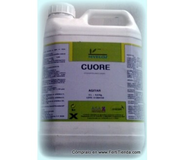 Cuore, 5L