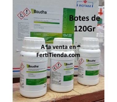 BOUDHA (120 G)