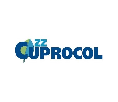 ZZ Cuprocol