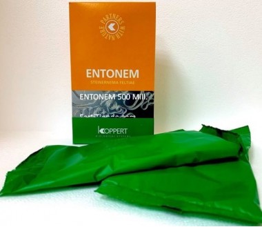 Entonem Steinernema feltiae nematodo 500 Mill.