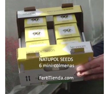Natupol Seeds, caja multi-pack con 6 mini colmenas