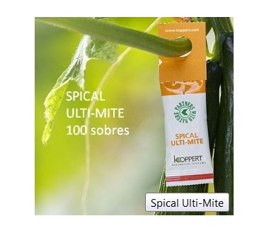Ulti-mite SPICAL (Spical plus) 100 sobres Neoseiulus californicus 10000