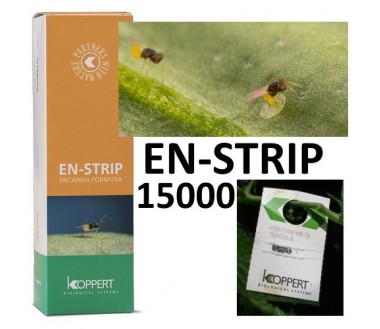 En-Strip 15000 Encarsia Formosa