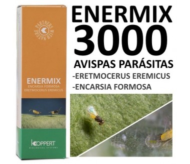 Enermix 3000 Encarsia y eretmocerus. Avispas parásitas