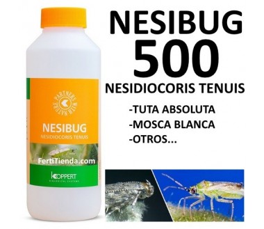Nesibug 500 - Nesidiocoris tenuis (tuta absoluta y mosca blanca)