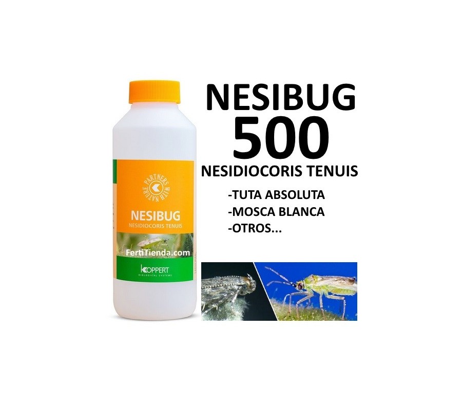 Nesibug 500 - Nesidiocoris tenuis (tuta absoluta y mosca blanca)