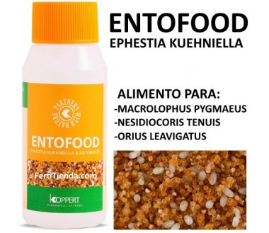 Entofood 10 (Ephestia kuehniella) alimento