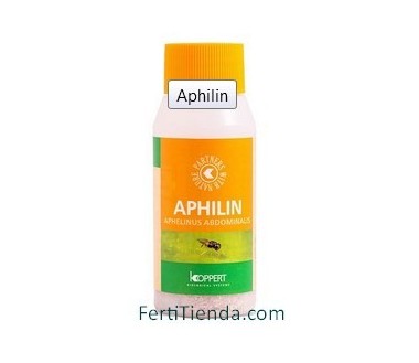 Aphilin 500 - Aphelinus abdominalis