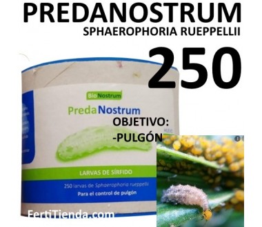 Predanostrum 250 larvas - contra pulgón