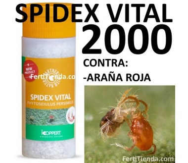 Spidex Vital 2000 (Phytoseiulus persimilis)