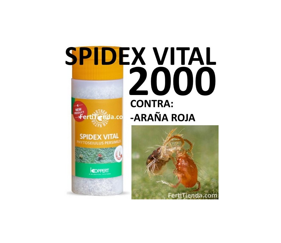 Spidex Vital 2000 (Phytoseiulus persimilis)