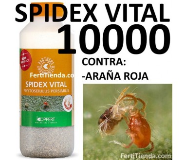 Spidex Vital 10000 (Phytoseiulus persimilis)