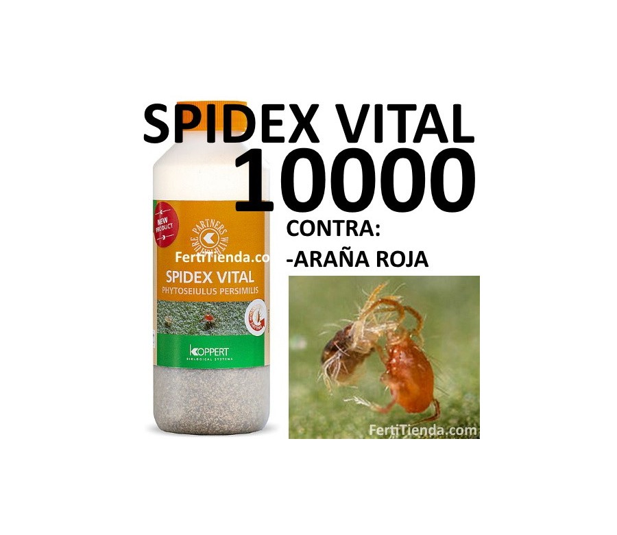 Spidex Vital 10000 (Phytoseiulus persimilis)