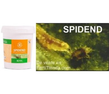 Spidend 250 - Feltiella acarisuga