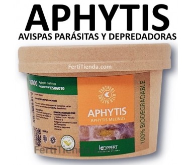 Aphytis Melinus (contra cochinillas y diaspinos)