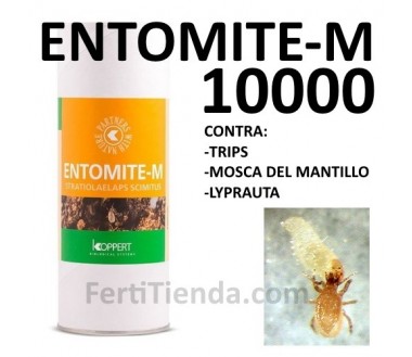 Entomite-M 10000 Hypoaspis miles