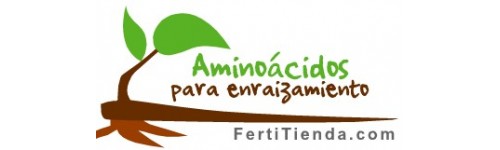 Enraizantes con aminoácidos
