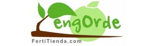 Engorde frutos
