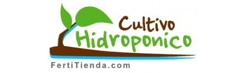 Hidroponia