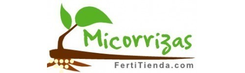 Micorrizas