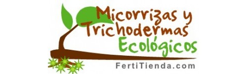 Micorrizas y Tricodermas
