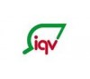 IQV