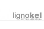 LIGNOKEL