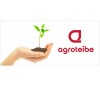 Agroteibe