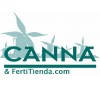 Canna